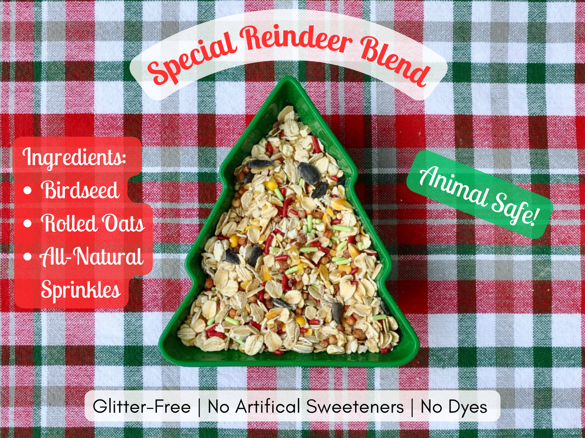 Dear Santa Letter Kit