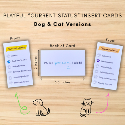 White and kraft envelope options for personalized A2 pet stationery