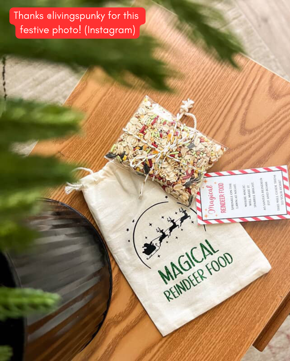 Magical Reindeer Food