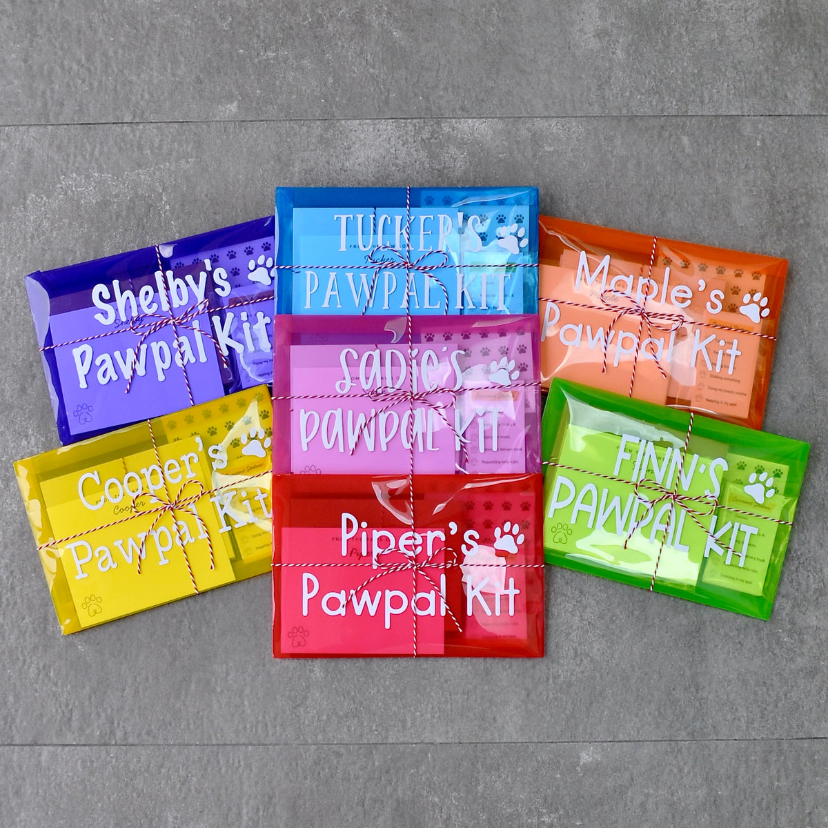 Personalized Pawpal Kit packaged as a gift for a dog or cat lover