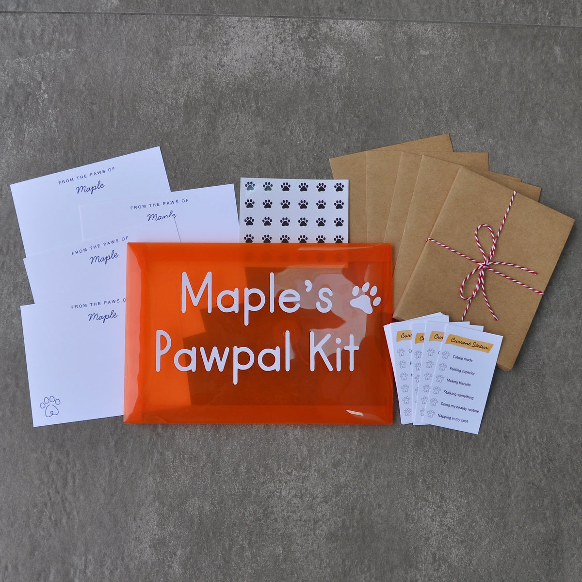 Pawpal Kit stationery for dogs and cats with personalized note cards