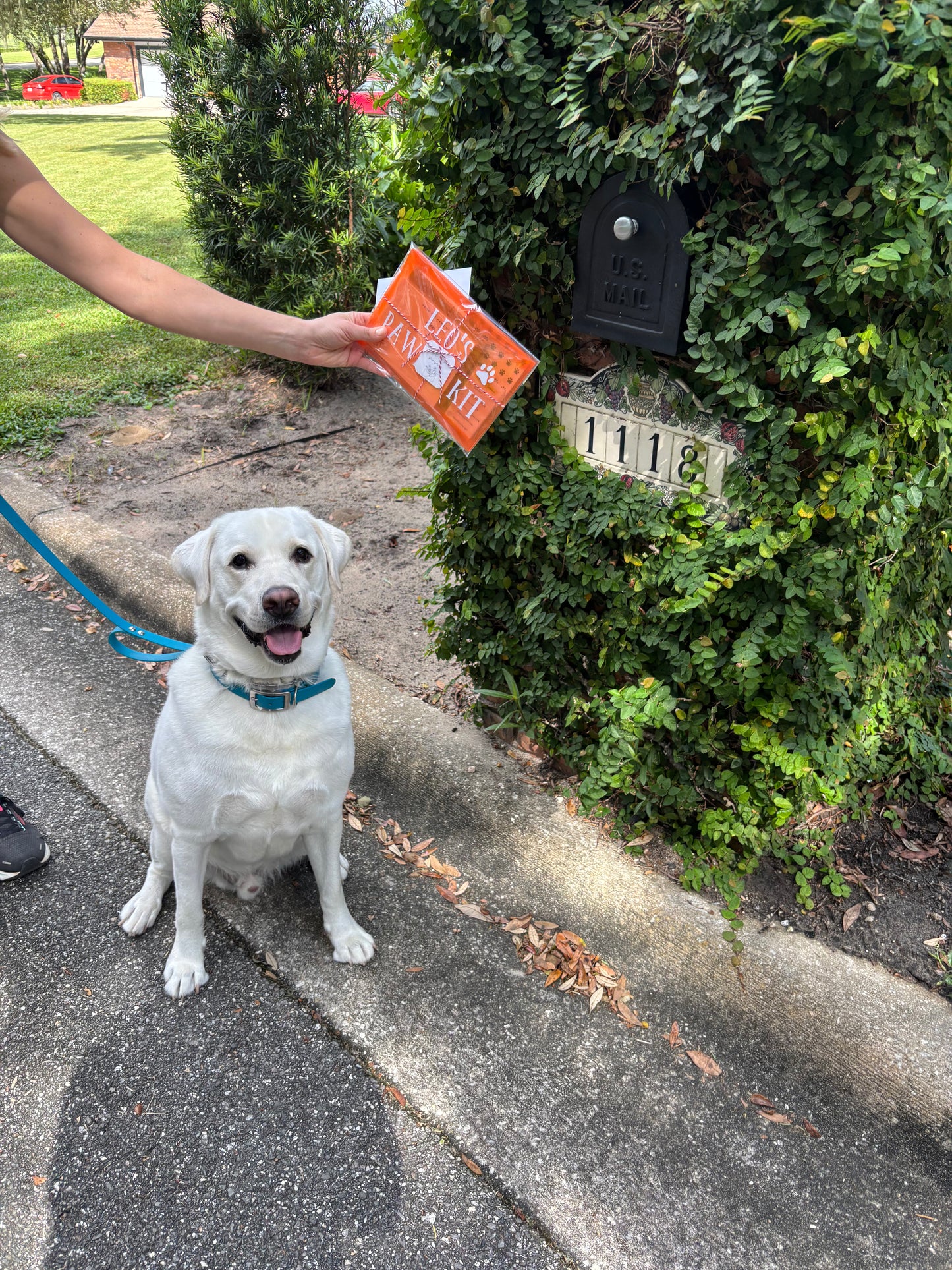 Personalized Pawpal Kit shown with pet-themed stationery pieces