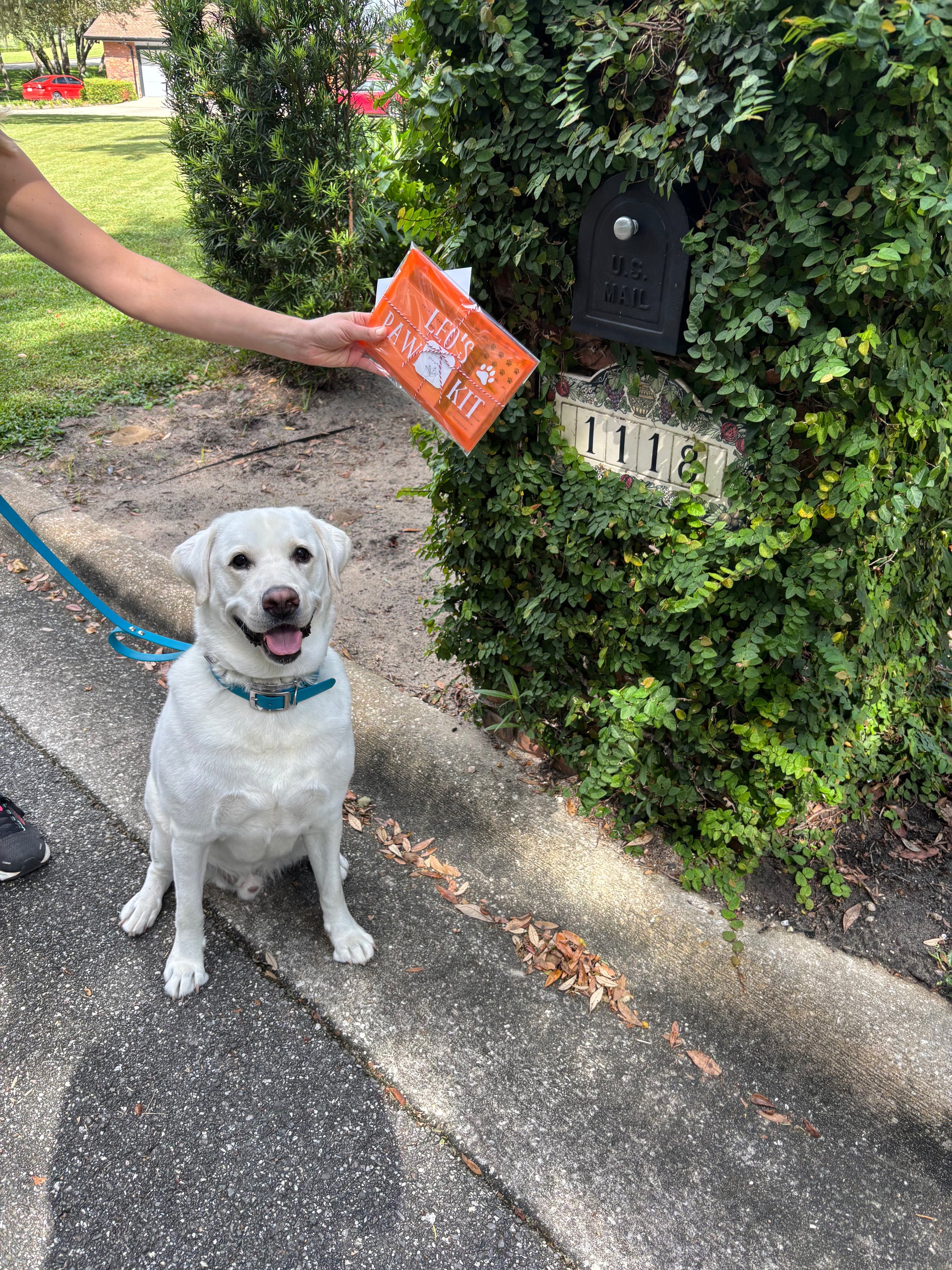 Personalized Pawpal Kit shown with pet-themed stationery pieces