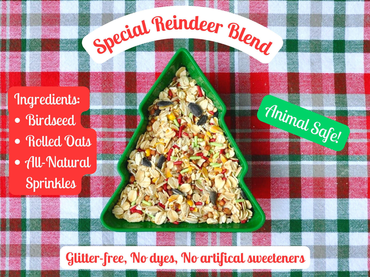 Magical Reindeer Food